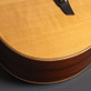James Goodall Grand Concert Cutaway Mastergrade (2016) Detailphoto 7